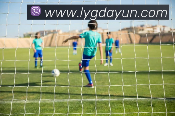 qy球友会官网平台生态图