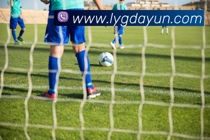 qy球友会官网全站App